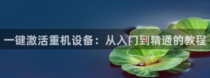 辉达娱乐待遇