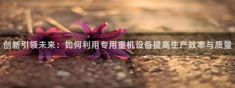 辉达娱乐衤39444