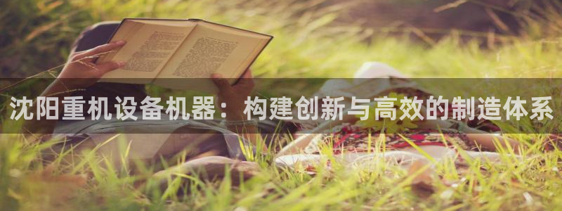 辉达娱乐线路检测