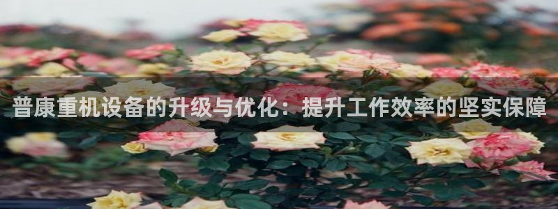 辉达娱乐最新现状