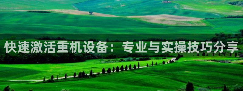 龙腾辉达电子娱乐