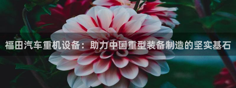 专业辉达娱乐平台：福田汽车重机设备：助力中国重型装备制造的坚