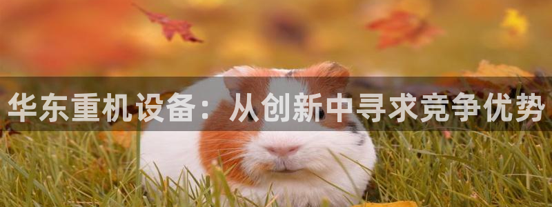 辉达平台注册入口：华东重机设备：从创新中寻求竞争优势