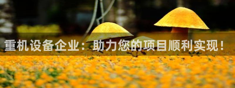 辉达娱乐体育竞猜：重机设备企业：助力您的项目顺利实现！