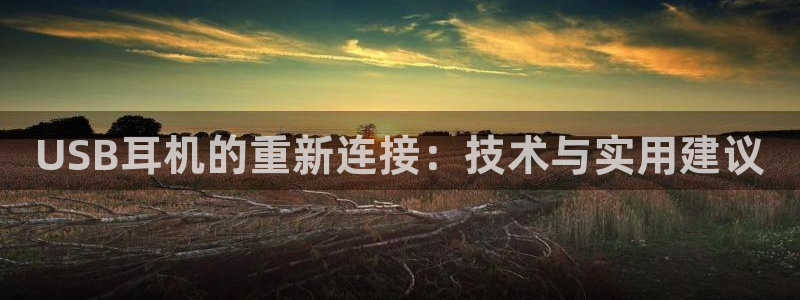 菲律宾辉达娱乐