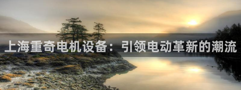 辉达平台官网首页：上海重奇电机设备：引领电动革新的潮流