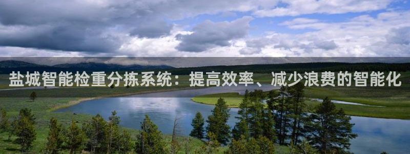 辉达娱乐电子游艺：盐城智能检重分拣系统：提高效率、减少浪费的