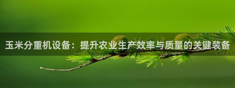 辉达娱乐五75505：玉米分重机设备：提升农业生产效率与质量