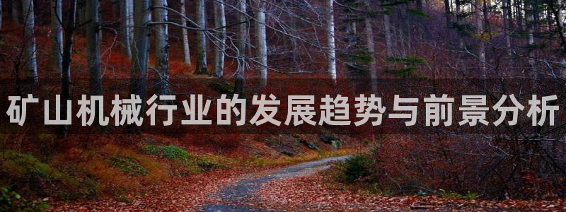 辉达娱乐官方网址：矿山机械行业的发展趋势与前景分析