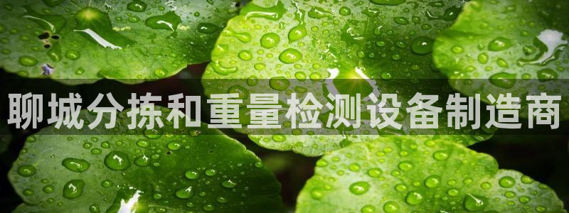 辉达娱乐排列三：聊城分拣和重量检测设备制造商