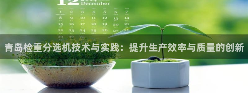 辉达平台官网下载：青岛检重分选机技术与实践：提升生产效率与质