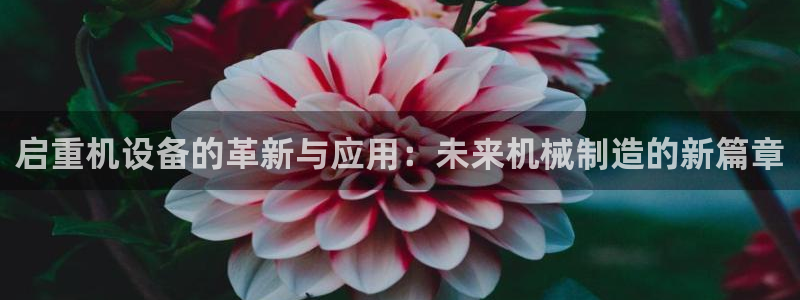 辉达娱乐体育竞猜：启重机设备的革新与应用：未来机械制造的新篇