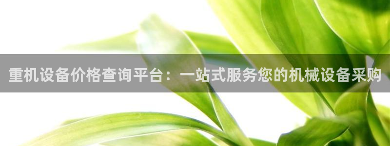 辉达娱乐珈75775：重机设备价格查询平台：一站式服务您的机