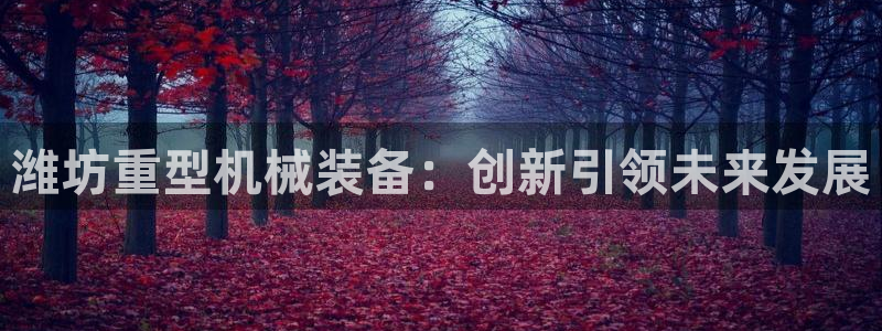 辉达平台官网首页：潍坊重型机械装备：创新引领未来发展