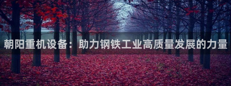 辉达娱乐官方网址：朝阳重机设备：助力钢铁工业高质量发展的力量