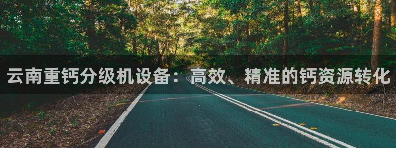 辉达娱乐体育竞猜：云南重钙分级机设备：高效、精准的钙资源转化