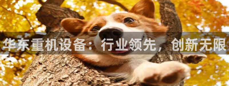 辉达娱乐最新消息新闻：华东重机设备：行业领先，创新无限