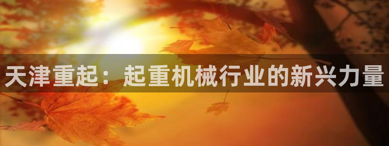 辉达娱乐平台