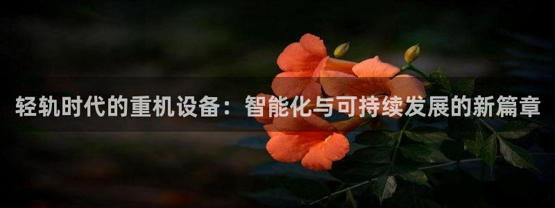辉达娱乐体彩：轻轨时代的重机设备：智能化与可持续发展的新篇章