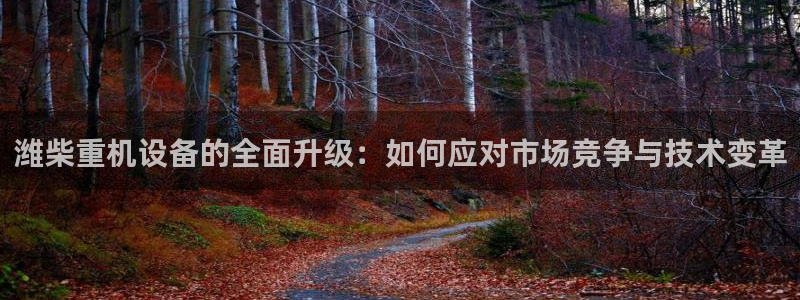 代理辉达娱乐官方网址