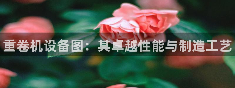 辉达娱乐丶39444：重卷机设备图：其卓越性能与制造工艺