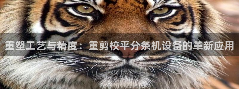 辉达娱乐己75505：重塑工艺与精度：重剪校平分条机设备的革
