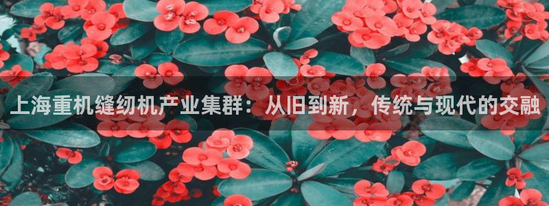 辉达娱乐重庆时时彩注册：上海重机缝纫机产业集群：从旧到新，传