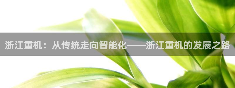辉达娱乐 75505：浙江重机：从传统走向智能化——浙江重机