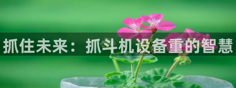 辉达娱乐最新版本更新内容：抓住未来：抓斗机设备重的智慧