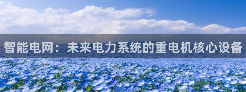 辉达娱乐重庆时时彩注册：智能电网：未来电力系统的重电机核心设