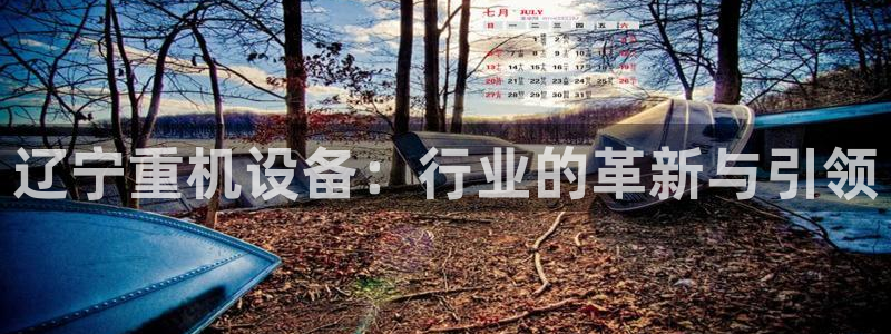 辉达娱乐彳75775：辽宁重机设备：行业的革新与引领