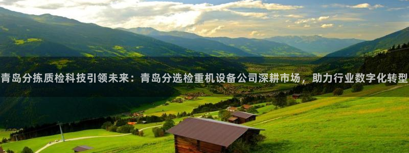 辉达娱乐登录：青岛分拣质检科技引领未来：青岛分选检重机设备公