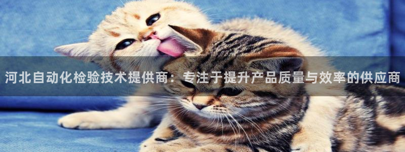 辉达娱乐待遇：河北自动化检验技术提供商：专注于提升产品质量与
