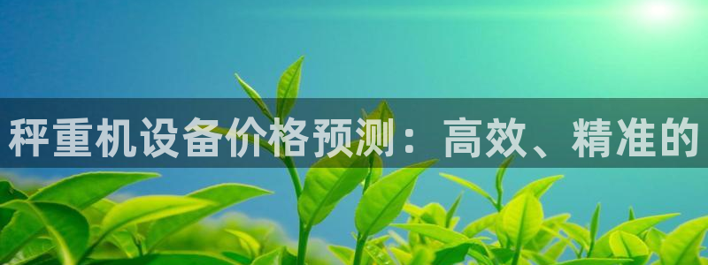 信誉辉达娱乐平台：秤重机设备价格预测：高效、精准的