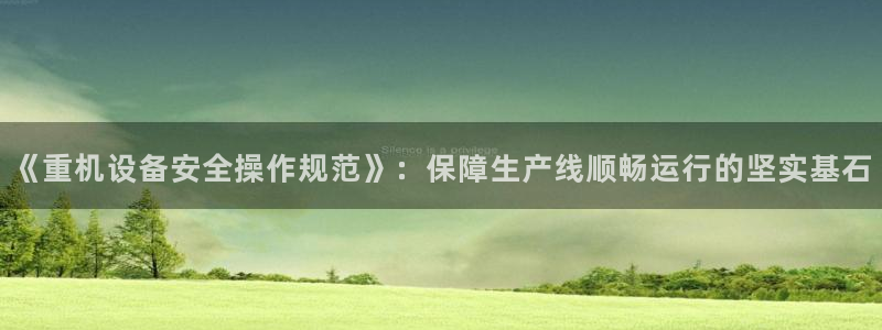 达利娱乐王辉：《重机设备安全操作规范》：保障生产线顺畅运行的