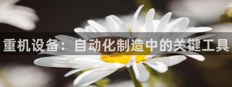 菲律宾辉达娱乐：重机设备：自动化制造中的关键工具