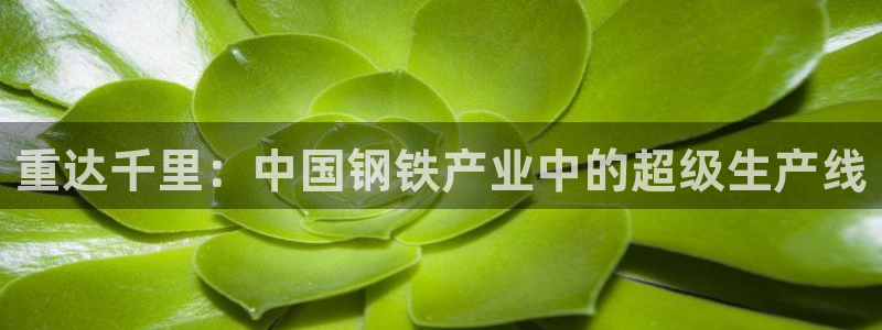 辉达娱乐己39444：重达千里：中国钢铁产业中的超级生产线