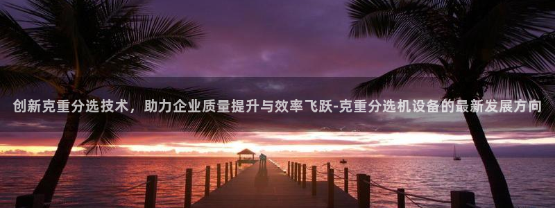 达利娱乐王辉：创新克重分选技术，助力企业质量提升与效率飞跃-
