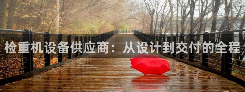 辉达娱乐app：检重机设备供应商：从设计到交付的全程