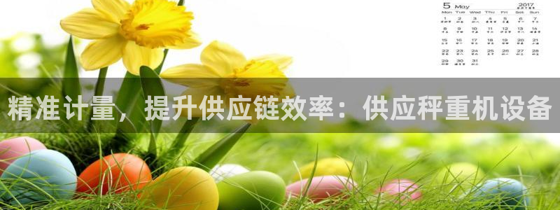 达利娱乐王辉：精准计量，提升供应链效率：供应秤重机设备