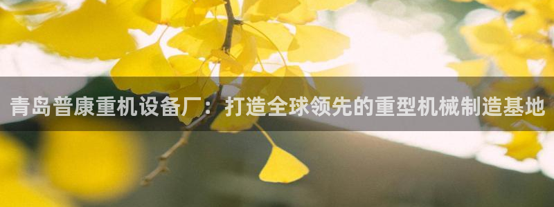 辉达娱乐官网：青岛普康重机设备厂：打造全球领先的重型机械制造