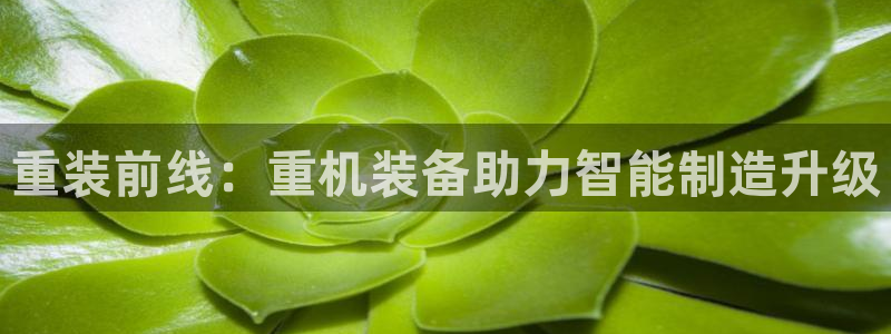 辉达娱乐app