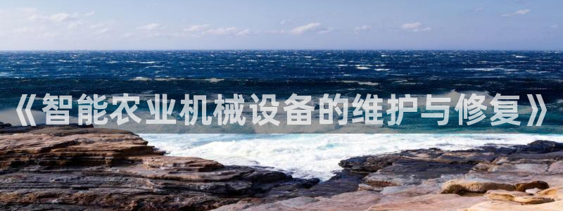 辉达官网登录入口入口