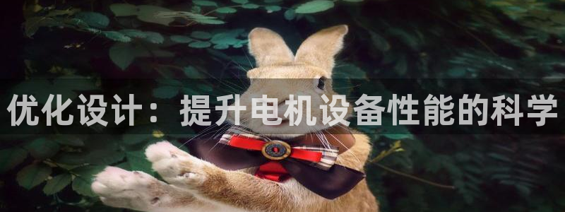 辉达平台注册资金多少：优化设计：提升电机设备性能的科学