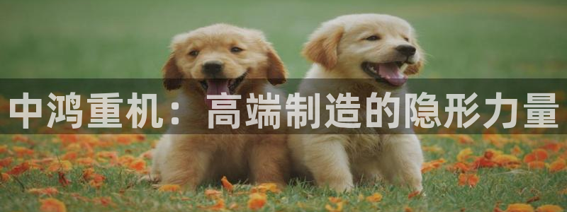 辉达娱乐：中鸿重机：高端制造的隐形力量