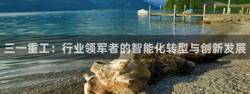 信誉辉达娱乐在线游戏：三一重工：行业领军者的智能化转型与创新