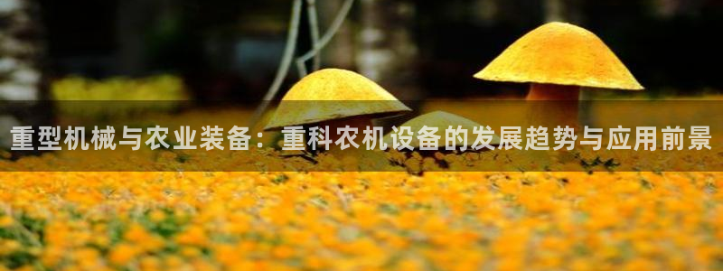 恒达娱乐辉70667：重型机械与农业装备：重科农机设备的发展
