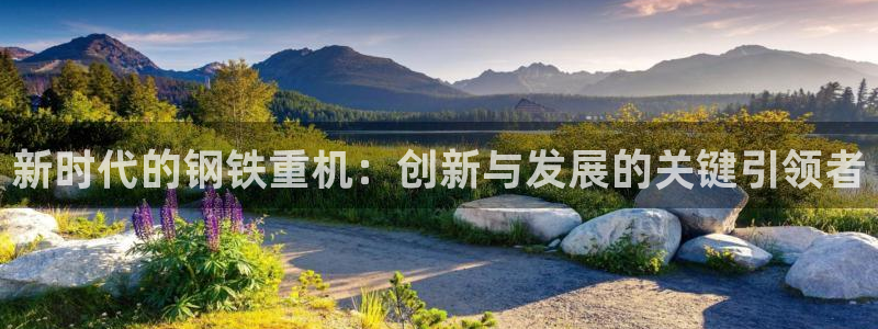 辉达娱乐