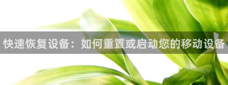 辉达平台注册官方网站入口：快速恢复设备：如何重置或启动您的移