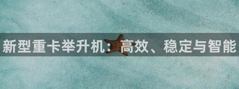 辉达娱乐重庆时时彩注册：新型重卡举升机：高效、稳定与智能
